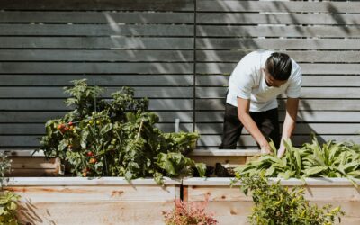 L’Utilità del Corso per il Patentino per l’Uso di Prodotti Fitosanitari