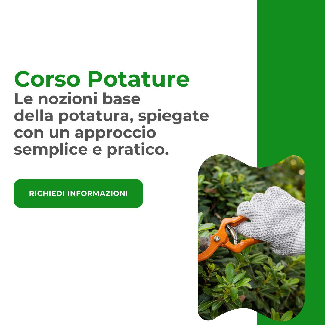Copy-of-Marketing-4