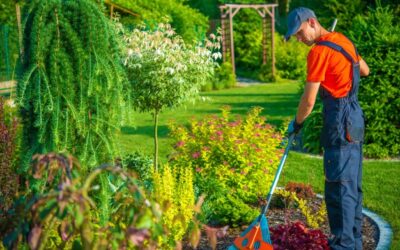 L’importanza di un Corso per Diventare Manutentore del Verde: Formazione Essenziale per il Futuro