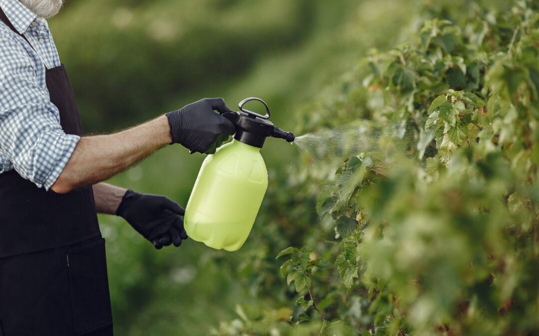 Patentino per Prodotti Fitosanitari: il corso indispensabile per lavorare in regola